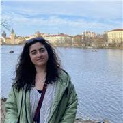 erfahrene Mathenachhilfe für Schüler und Schülerinnen aller Klassenstufen